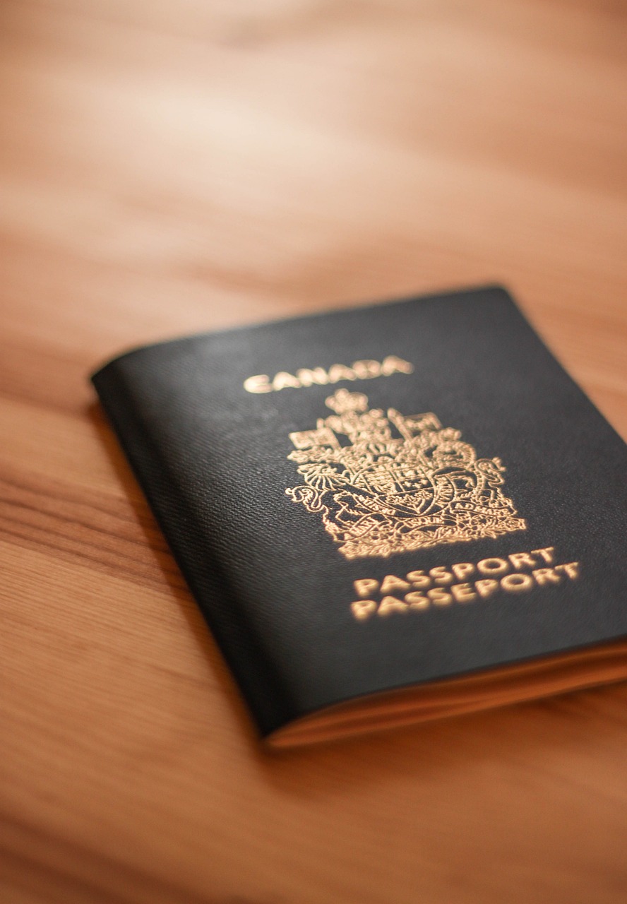 Who is eligible for the Georgia eVisa?